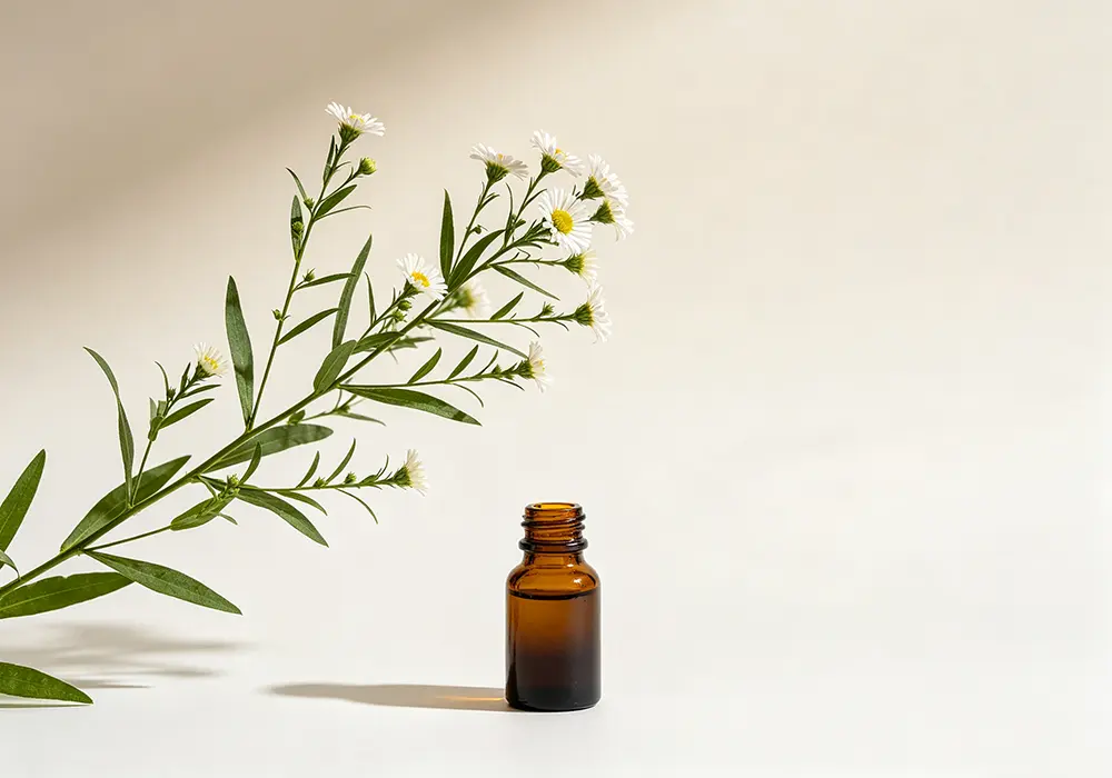 Eclipta Prostrata Extract Benefits for Hair Growth and Skin Health